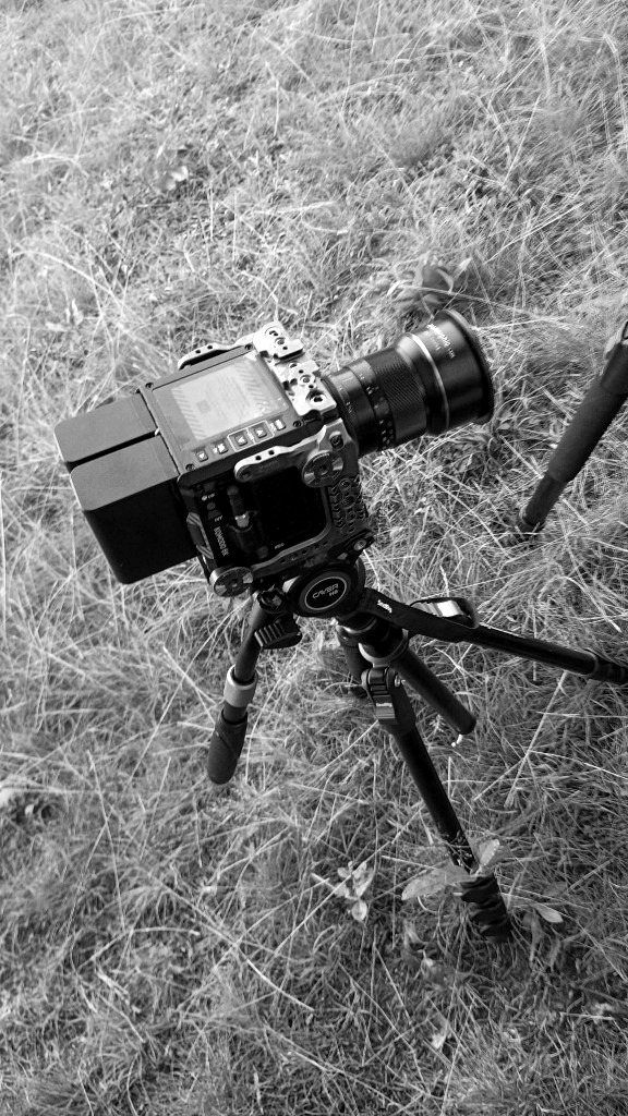 Behind the scenes: Camera on tripod in tall grass