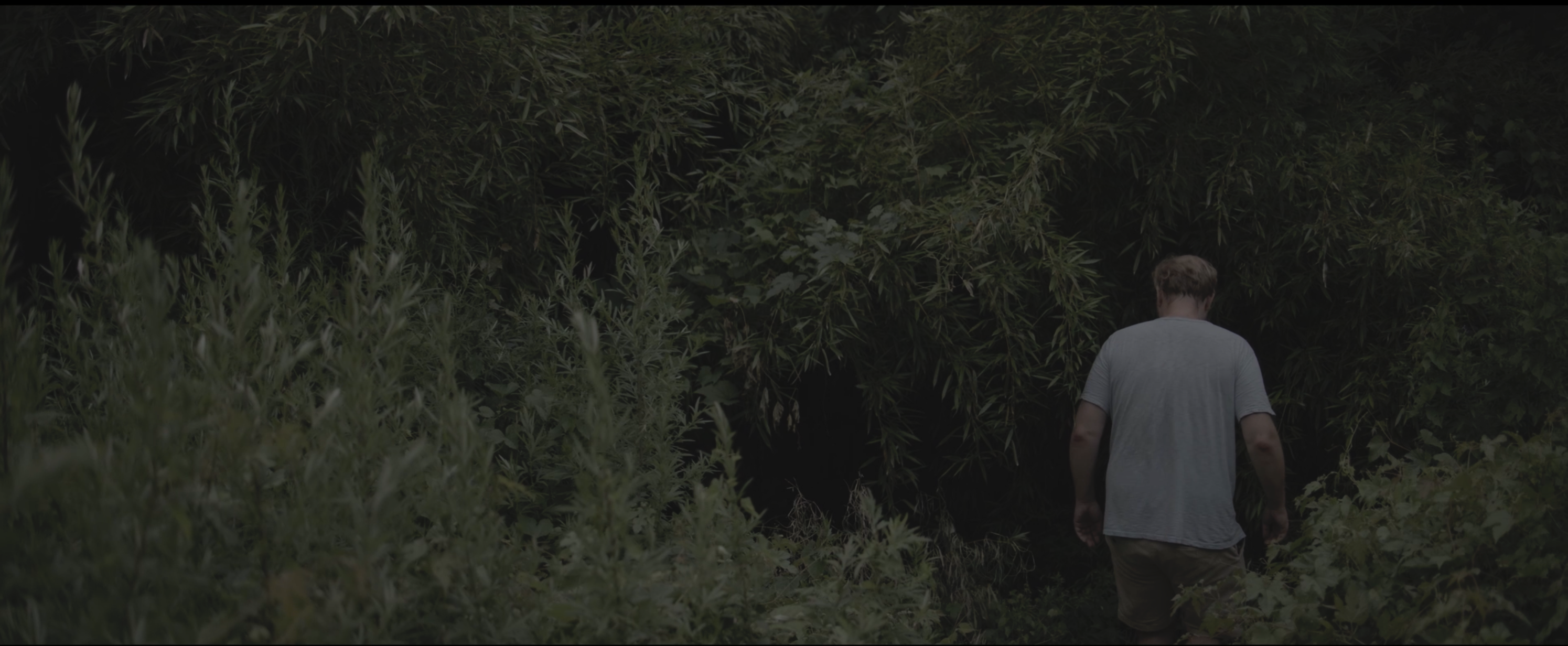 A figure entering tall grass